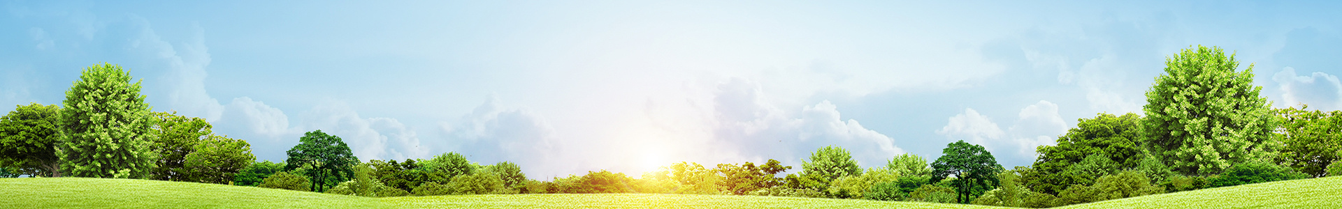 環保工(gong)程(cheng)設(shè)計(ji)、製(zhi)造(zao)、安(an)裝(zhuang)、運營(ying)以(yi)及(ji)環保技(ji)術(shù)咊(he)設(shè)備(bei)研髮(fa)